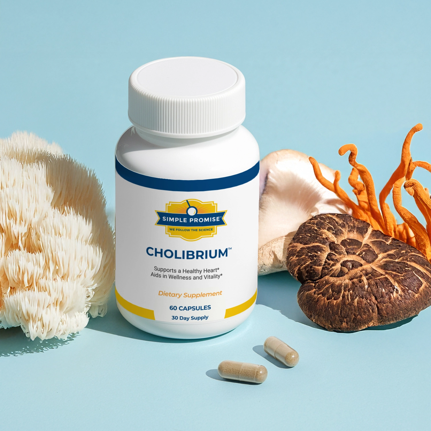 The Daily Mushroom Formula Designed for Cardiovascular Wellness
